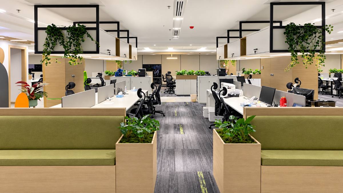 Savola Foods Limited — gallery image 8
