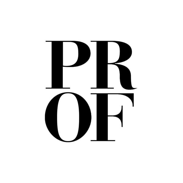 Furniture partner logo 25